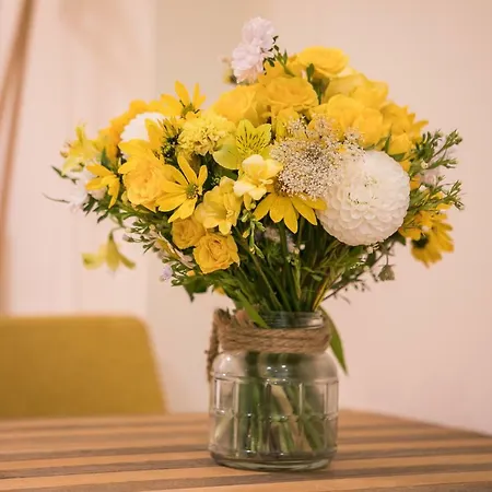 - Center Apartment *